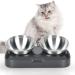 Jemirry Elevated Cat Bowl Anti Vomiting,15 Tilted Raised Cat Food or Water Bowls,Stainless Steel Pet Bowl with Non-Slip Stand for Cat and Dog,Protect Pet's Spine,Dishwasher Safe Two Bowls