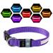Luminous collar dog loadable USB-C LED collar for dogs waterproof dog collar light 7 colors flashing light adjustable light collar dogs for small medium-sized dogs purple l l (48-60cm/19-23.6inch) Lila