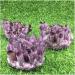 Natural Amethyst Quartz Minerals Remove Negative (Size : 500g-600g) HOMEZHOU (Size : 400g-500g) - Buy Online on GoSupps.com