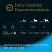 Cesar Deliciously Fresh Wet Dog Food for Senior Dogs 10+ - Mixed Selection in Jelly 48 Pouches (6x8x100g) - Buy Online on GoSupps.com