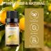 Sedbuwza 100% Pure Organic Lemon Essential Oil - Ideal for Diffusers Humidifiers Soaps Candles & Perfumes - Aromatherapy Gift - Buy Online on GoSupps.com
