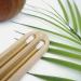 Eco-Friendly Silicone Cotton Swabs | Washable & Reusable with Bamboo Storage Box - International Shipping Available - Buy Online on GoSupps.com