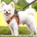 Suredoo Reflective Dog Harness & Leash | Anti-Train Chest Harness for Small Dogs Puppies & Cats (Brown Orange M) - International Shipping - Buy Online on GoSupps.com