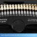 Dental Teeth Shade Guide: Professional Porcelain 3D R-20 Whitening Chart with 20 Colors - Dentist-Approved Bleaching Shade Tab for Teeth Whitening Course - Buy Online on GoSupps.com