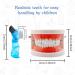 Dental Teeth Model with Dentures & Toothbrush | Educational Prosthesis Model for Kids | Best Dental Teaching Tools & Study Supplies - Buy Online on GoSupps.com