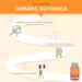 Red and White Ginseng - 100% Natural - Extraction Ratio 10:1 - Dosed at 15% Ginsenosides - Reduce Fatigue - Helps Concentrate - 60 Capsules - Nutrimea - Buy Online on GoSupps.com