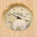 Precise 2-in-1 Sauna Thermometer & Hygrometer | Ideal Temperature & Humidity Measurement for Perfect Sauna Conditions - International Shipping - Buy Online on GoSupps.com