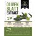 Buy Olive Leaf Extract Powder 100g | Pure Vegan & Additive-Free | High Dose & Lab Tested | Naturrein Germany - Buy Online on GoSupps.com