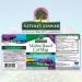 Nature's Answer Calcium Magnesium Vanilla Cream 16oz - Natural Bone & Heart Health Support - Buy Online on GoSupps.com