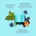 TULA Balancing Act Purifying Toner Pads | Alcohol-Free pH Balancing Skincare | 60 Pads - Buy Online on GoSupps.com