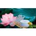 L'Erbolario Alba in Asia Balsamo di Bellezza per le Mani con guanti 75 ml 75 ml - Buy Online on GoSupps.com
