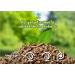 PELLET JALISCO Wooden substrate for pet bed (cats rabbit mice ferrets reptiles etc.) (1098 mm3) - Buy Online on GoSupps.com