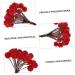 ABOOFAN 400 Pcs Artificial Berries Christmas Berries Christmas Ornament Simulation Red Berry Artificial Flower Decor Red Berry Adornments Simulated Red Berry Double Head Plant Foam - Buy Online on GoSupps.com