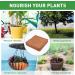 OTAIVE Natural Coco Liner Roll 30x30cm Reptile Carpet Coconut Fiber Pad Coconut Fiber Basket Liner Sheet for Planters Baskets DIY Moss Pole Reptile Carpet Lizard Cage Mat(10pcs) - Buy Online on GoSupps.com