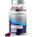 Source Biology Elderberry Gummies - Immune Support with Vitamin C and Zinc - Vegan Formula - 4500 Mg Elderberry - 60 Gummies - Buy Online on GoSupps.com