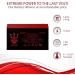 Buy Commercial Upgrade Battery for Wildgame Innovations | 12V 7.5Ah eDRENALINE Rechargeable Tab Style Battery - Fast International Shipping - Buy Online on GoSupps.com