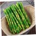 HOMSFOU 20 Pcs Simulated Asparagus Ornaments Pretend Play Food Fake Bamboos Food Faux Veggies Fake Food Model Asparagus Models Simulated Food Artificial Asparagus Model Pvc Vegetable Plant Light Greenx2pcs 19X0.9CMx2pcs - Buy Online on GoSupps.com