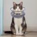 Pet Inflatable Collar for Comfortable Recovery After Surgery - Cute Cat & Dog Inflatable Neck Collar (Large) - Buy Online on GoSupps.com