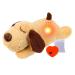 QKTYB Puppy Toy with Heartbeat Puppies Separation Anxiety Dog Toy with Warm Bag Soft Plush Sleeping Buddy Behavioral Aid Toy Puppy Heart Beat Toy for Puppies Dog Pet