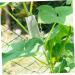 VANZACK 20 Pcs Shaped Growth Mold Fruit Molds Vegetable Molds Decor Cucumbers Star Cucumber Shaper Chocolate Mold Planting Accessories Vegetable Forming Molds Heart-Shaped Tool Container As Shownx5pcs mediumx5pcs - Buy Online on GoSupps.com