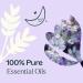 Plant Therapy Sparkling Lavender Laundry Essential Oil Blend 30 mL (1 oz) Pure Undiluted Wash Fragrance and Scent Enhancer - Buy Online on GoSupps.com