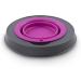 Dexas Popware for Pets Small Elevated Pet Feeder - 1.5 Cup Capacity - Fuchsia - Buy Online on GoSupps.com