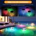 Lotvic Solar Floating Pool Lighting - 2 Pack Waterproof LED RGB Night Lights for Pools & Water Parks - Buy Online on GoSupps.com