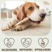PetLove XXL Coffee Wood Chewing Toy for Dogs | Natural Dental Care Wooden Bone - Caffeine-Free - Buy Online on GoSupps.com