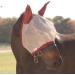 Buy Horseware Amigo Flymask - Silver/Navy Fly Mask for Thoroughbreds | International Shipping Available - Buy Online on GoSupps.com