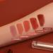 BBIA Last Velvet Lip Tint Note Series - Chocolate Brown (25 Final Note) 0.18 Ounce - Buy Online on GoSupps.com