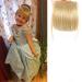 Bangs Hair Clip Clip in Bangs Synthetic Fake Blunt Hair Bangs Hair Extension Neat Front Fake Fringe Natural False Hairpiece for Women Bangs Clip in Hair (Color : 27-613 Size : 6inches) 6inches 27-613