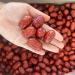 cn herb 250g Xinjiang Washing-free Grey Jujube In Bulk - Buy Online on GoSupps.com