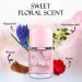 Women's Spray Perfume Anaisa Long Lasting Eau De Parfum Cologne for Women Refreshing Floral Fragrance for Casual Use Ideal Holiday Gift 3.4 Fl Oz - Buy Online on GoSupps.com