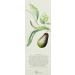 Crabtree & Evelyn Avocado Olive & Basil Revitalising Bath & Shower Gel - 8.5 Fl Oz | Luxury International Shipping - Buy Online on GoSupps.com