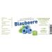 Buy LCW Blueberry Fruit Spread with Fructose & Sweeteners - 340g Glass Jar | International Shipping - Buy Online on GoSupps.com