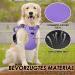 Eyin Adjustable Reflective Dog Harness for Small Dogs - Breathable Padded Vest with Handle & Front Bracket for Training (Purple Size S) - Buy Online on GoSupps.com