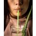 Whole Leaf Aloe Vera Juice - Highest Acemannan Concentration Guaranteed, Water-Free for Maximum Purity - Buy Online on GoSupps.com