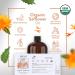HBNO Organic Safflower Oil - 32 oz (950ml) Value Size - Ideal for Shampoos Conditioners Face wash Lotions and Skin care products - Buy Online on GoSupps.com