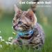 Reflective Airtag Cat Neck Band | Integrated Cat Necklace with Holder & Bell for Kittens & Puppies (Blue) - Buy Online on GoSupps.com