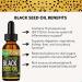 Black Seed Oil 100% Virgin Cold Pressed Organic Black Currant Seed Oil Black Cumin Seed Oil Super Antioxidant for Hair & Skin | Vegan Gluten-Free Non-Gmo 2fl Oz - Buy Online on GoSupps.com