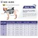 CIT TOILE Dog Life Jacket Floatation Pet Safety Vest | Shark Costume XS-XXL | for Swimming Pool, Beach, Boating | Medium Grey - Buy Online on GoSupps.com