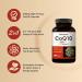 CoQ10 300mg with Omega-3 | Stable High Absorption Antioxidant for Heart & Energy Health | 240 Capsules - Extra Strength Coenzyme Q10 Supplement - Buy Online on GoSupps.com