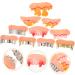 Minkissy 10 Stk Funny Halloween Maskerade Party Teeth - PVC False Teeth for Cosplay & Costumes - Buy Online on GoSupps.com