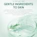 Tea Tree Toner for Oily Skin | Purifying Facial Toner with Aloe Vera & Wild Chrysanthemum | Oil Control & Moisturizing for Radiant Skin - Buy Online on GoSupps.com