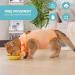 Avont Katzenbody for Cats - Post-Op Recovery Suit Leak Protection & Wound Care - Large Apricot - Buy Online on GoSupps.com