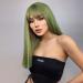 Pretfy Green Wig for Women 16" Natural Middle Length Straight Wig with Hair Bangs Green Fringe Wig Sexy Long Straight Grass Green Wig Hair Net Heat Resistant Synthetic for Cosplay Party Halloween Short-2(Green)