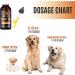 Bark Boy Hemp Oil for Dogs & Cats - Made in USA - Anxiety, Pain & Stress Relief - Anti-Inflammatory Omega 3, 6 & 9 - 100% Organic Calming Drops (1 Pack) - Buy Online on GoSupps.com