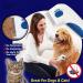 FEWB Pet Flea Comb Pet Grooming Comb Lice Cleaner Comb Grooming Removal Tools for Cat Dog Cleaning Brush Anti Flea Pet Supplies - Buy Online on GoSupps.com