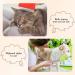 Tear Stain Remover Comb Set for Pet Cats & Dogs - 7 Pieces Stainless Steel Grooming Tools - Buy Online on GoSupps.com