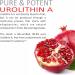Urolithin A Supplement 1000mg - Mitochondrial Supplements Support - Advanced Healthy Anti-Aging and Cellular Renewal - Muscle Strength - Endurance and Longevity - Ultra Micronized - 120 Capsules - Buy Online on GoSupps.com
